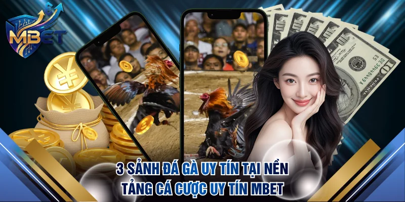 3 sảnh đá gà uy tín tại nền tảng cá cược uy tín MBET