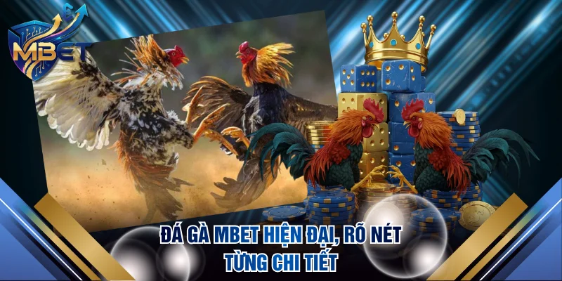 Đá gà MBET hiện đại, rõ nét từng chi tiết